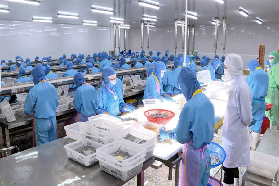 Chế biến thuỷ sản