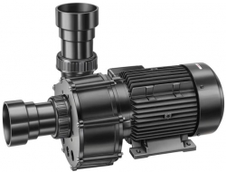 BADU 21-81 Speck Việt Nam