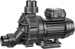 BADU 45/6 Speck Việt Nam