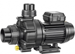 BADU 46 Speck Việt Nam