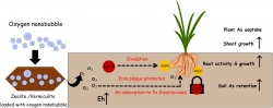 Oxygen Microbubble Nanobubble