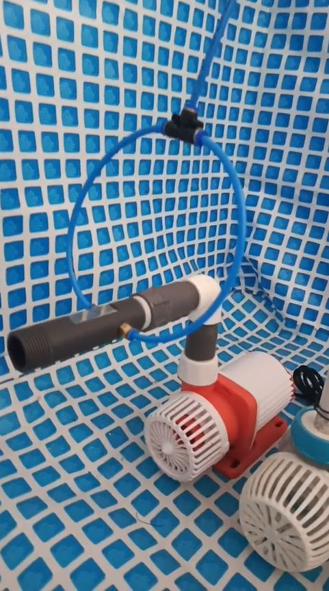 Ương tôm hùm con bằng Oxygen Nanobubbles và Protein Skimmer