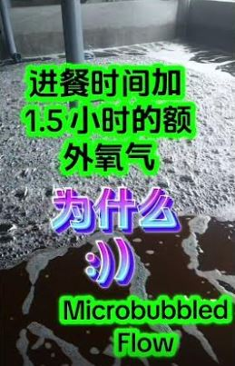 Ven X bổ sung oxi hòa tan trong lúc cá ăn và bài tiết 