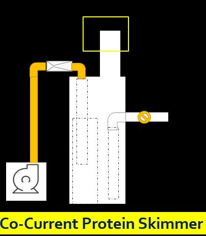  Ven X hỗ trợ Protein Skimmer kiểu nhà nghèo tới phong cách nhà giàu